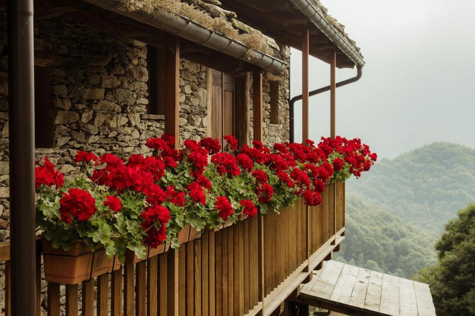 Rifugio Alpino Baudinet - Trek&Relax Bed and Breakfast Chiusa di Pesio Eksteriør billede